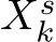  Xsk