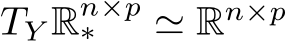  TY Rn×p∗ ≃ Rn×p