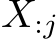  X:j