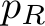  pR