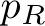  pR