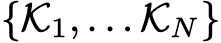  {K1, . . . KN}