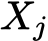  Xj