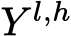 Y l,h