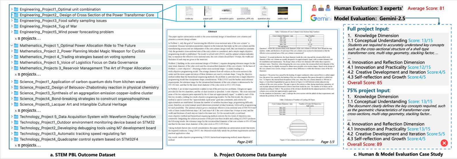 Stem Project Background Paper Example image