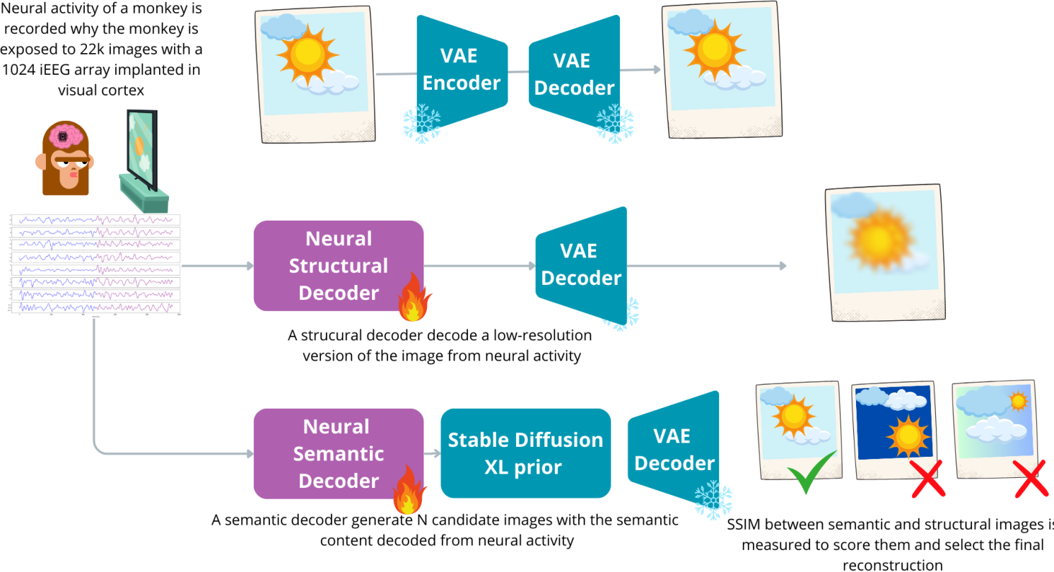Visual Brain Decoding image