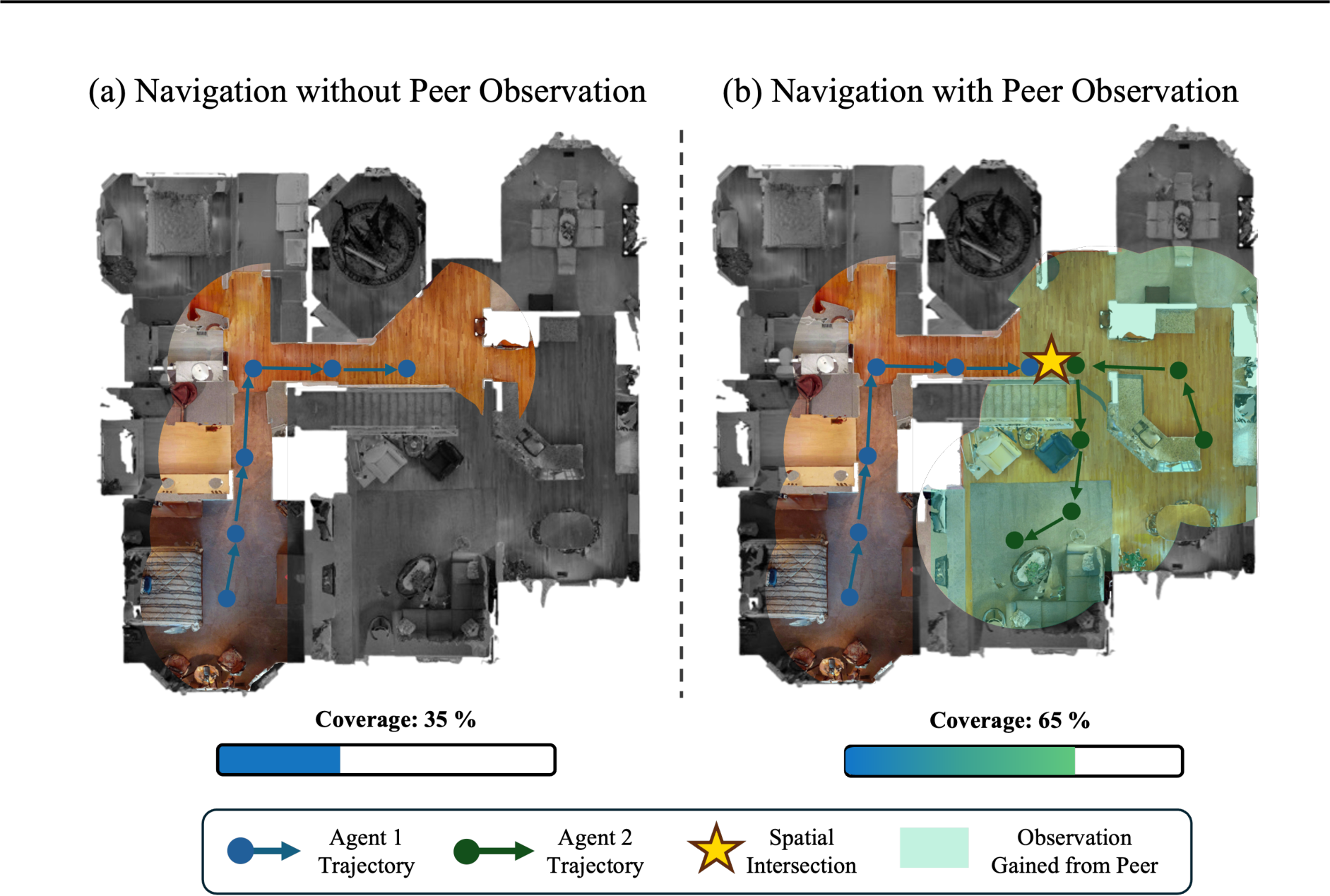 Peer Observation Animation image