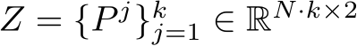  Z = {P j}kj=1 ∈ RN·k×2