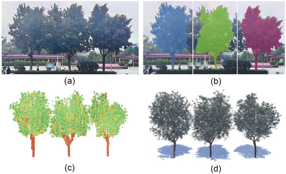 Tree Image For Image Processing image
