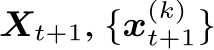  Xt+1, {x(k)t+1}