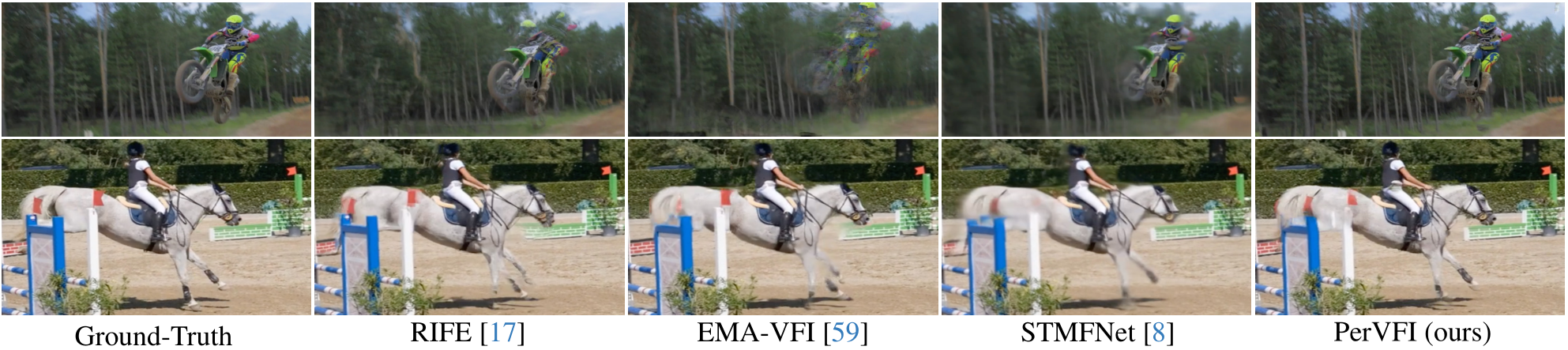 Video Interpolation Example image