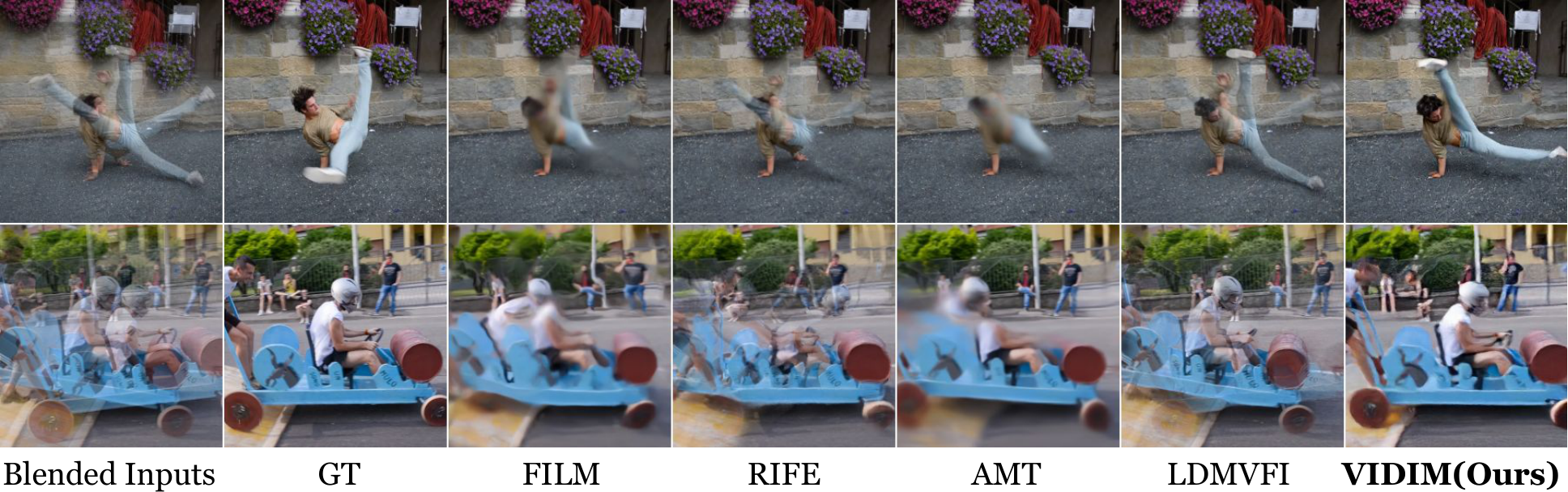 Video Interpolation Example image