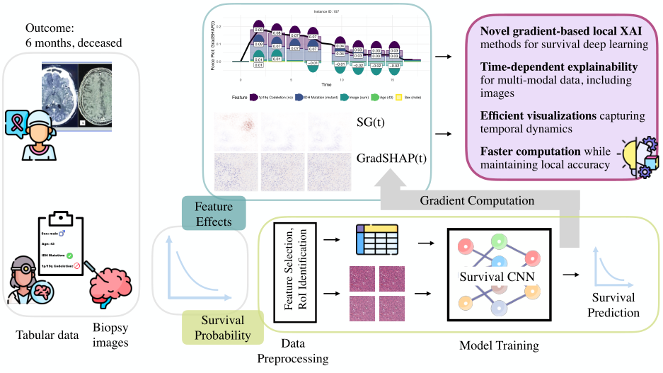 Gradient Based Method image
