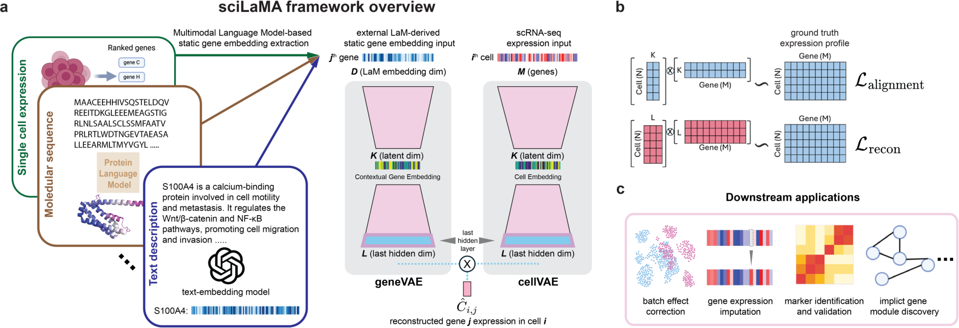 ICML Poster sciLaMA: A Single-Cell Representation Learning