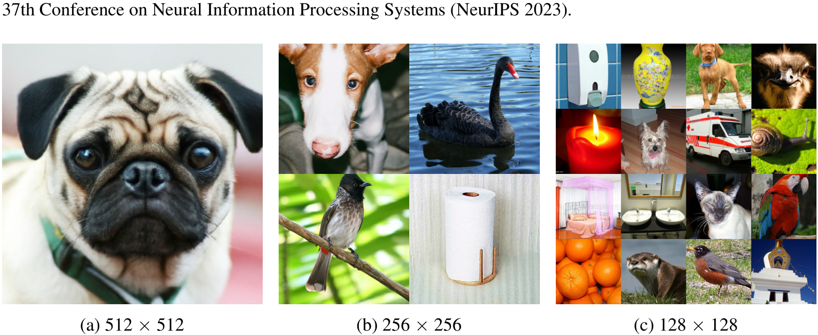 NeurIPS Poster Understanding Diffusion Objectives as the ELBO with