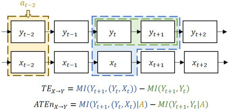 Attentive Transfer Entropy to Exploit Transient Emergence of Coupling ...