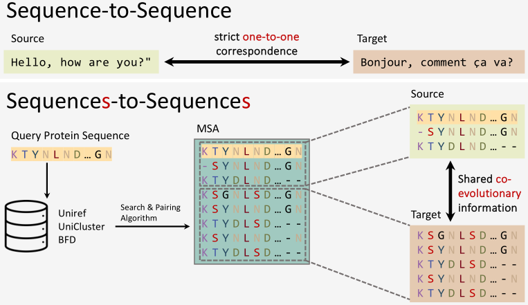 Allseq Phase image